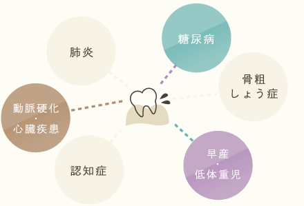 糖尿病/骨粗しょう症/早産・低体重児/認知症/動脈硬化・心臓疾患/肺炎